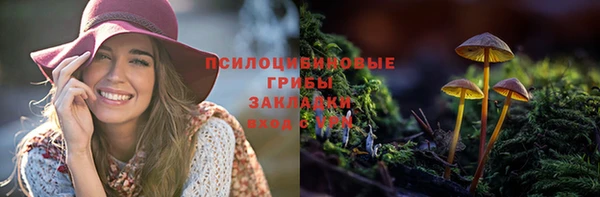 спайс Абинск