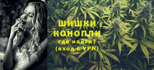 стаф Пестово