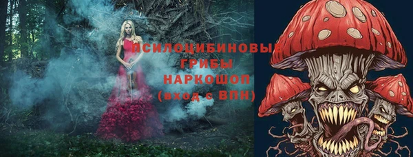 спайс Абинск