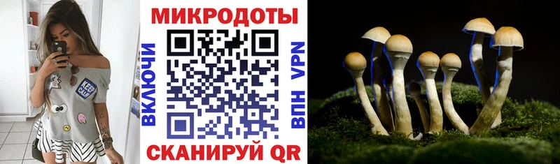 наркота  Сарапул  Псилоцибиновые грибы Cubensis 