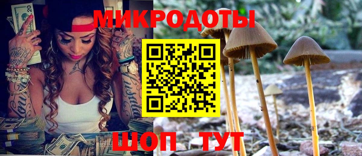 Сарапул  Псилоцибиновые грибы мицелий  Вход с VPN  Псилоцибиновые грибы Psilocybine cubensis 